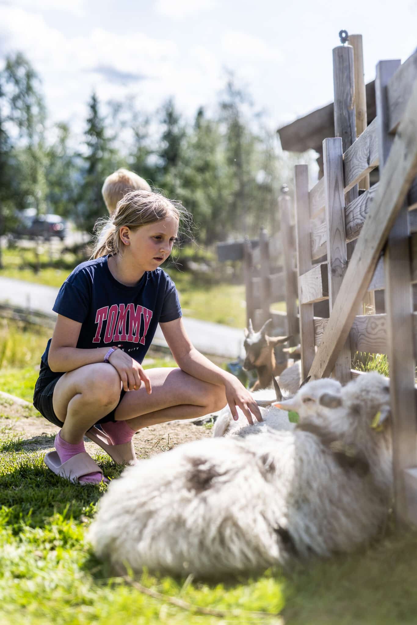 Dypdykk i fortiden med spennende kulturminner og sagn. Enten du følger sabotørstien eller ser vraket av D/S Tinn, gir våre historiske omgivelser oppholdet en ekstra dimensjon.